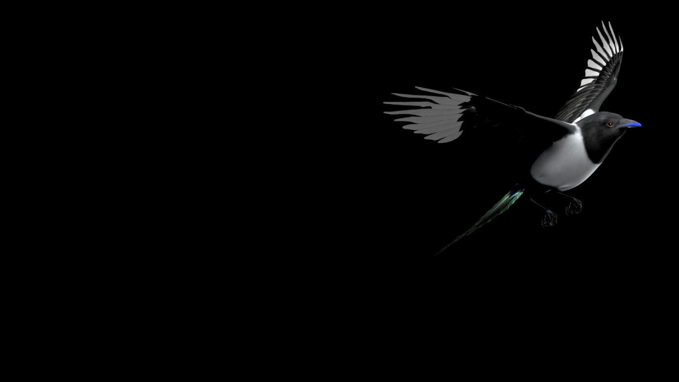 11 secrets to make your brand millennial ready